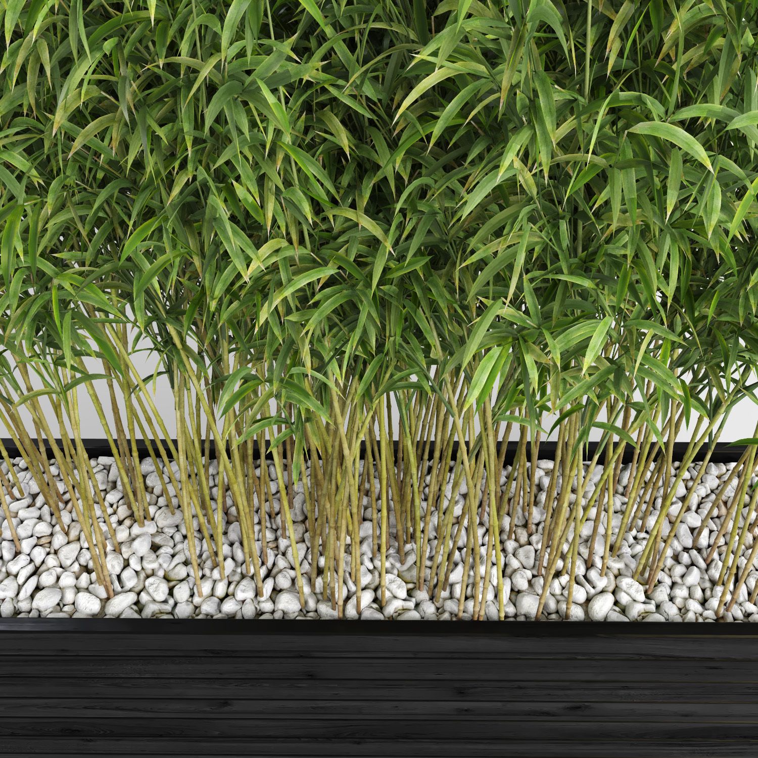 Ombrello Bamboos (+ GrowFX) royalty-free 3d model - Preview no. 7