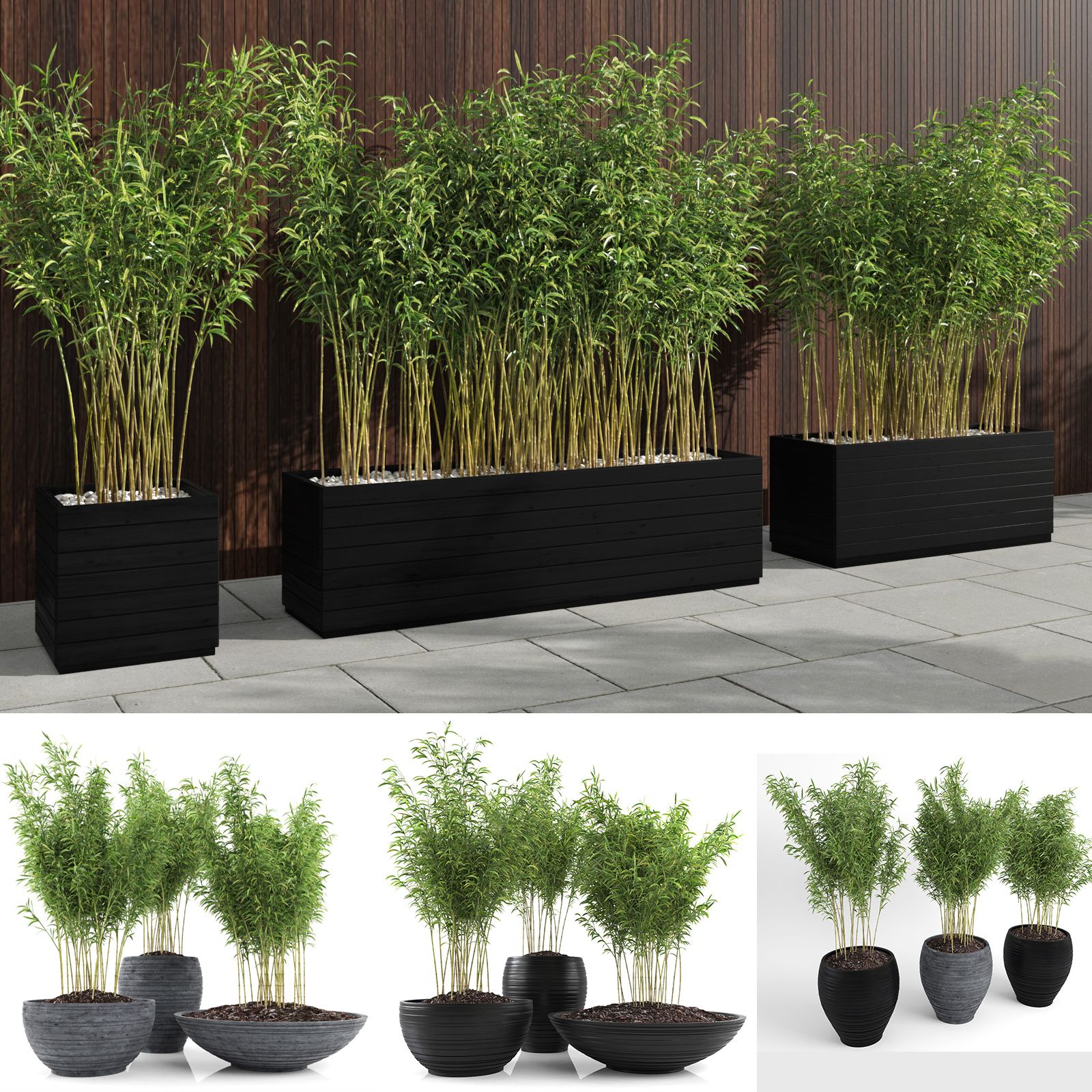 Ombrello Bamboos (+ GrowFX) 3d model