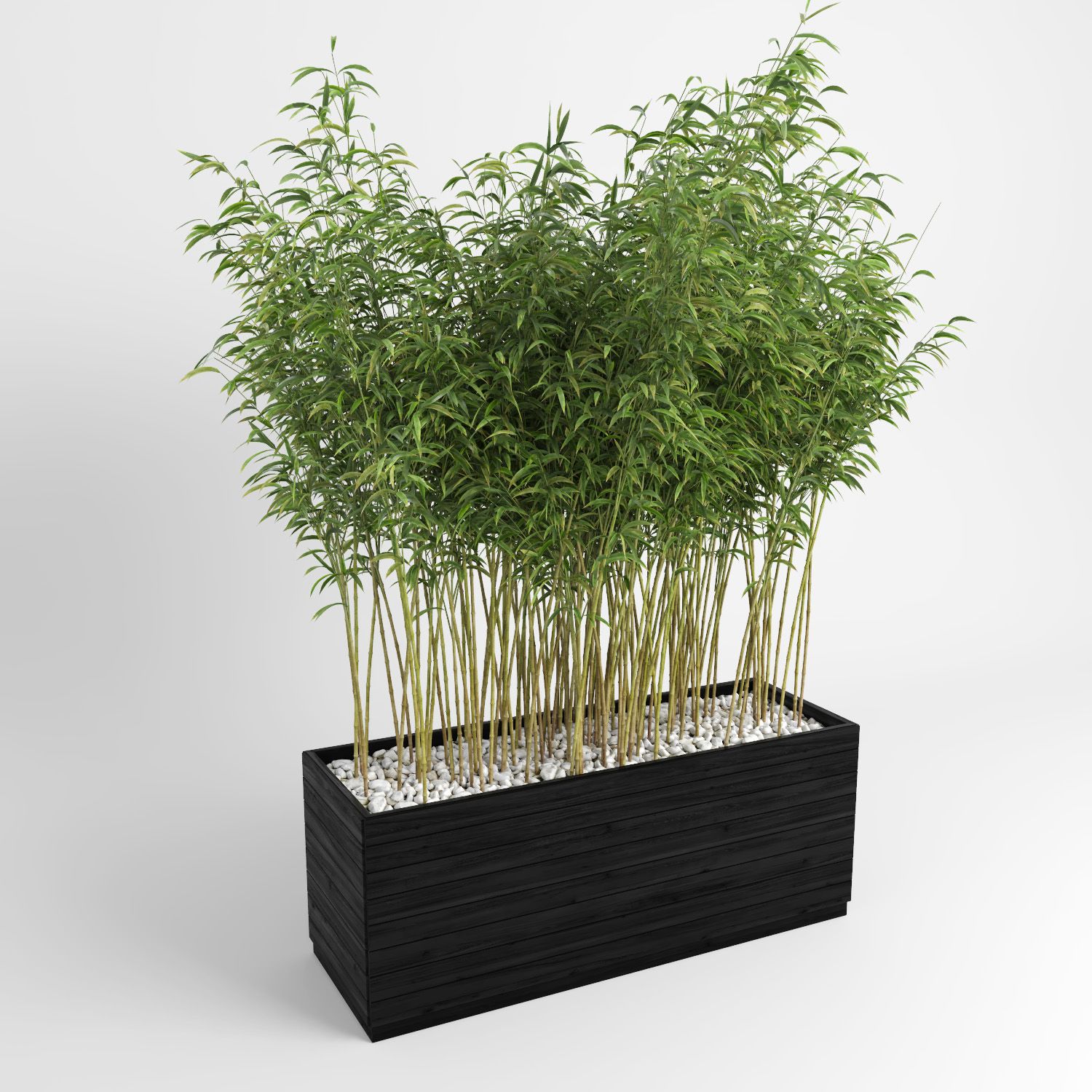 Ombrello Bamboos (+ GrowFX) royalty-free 3d model - Preview no. 4