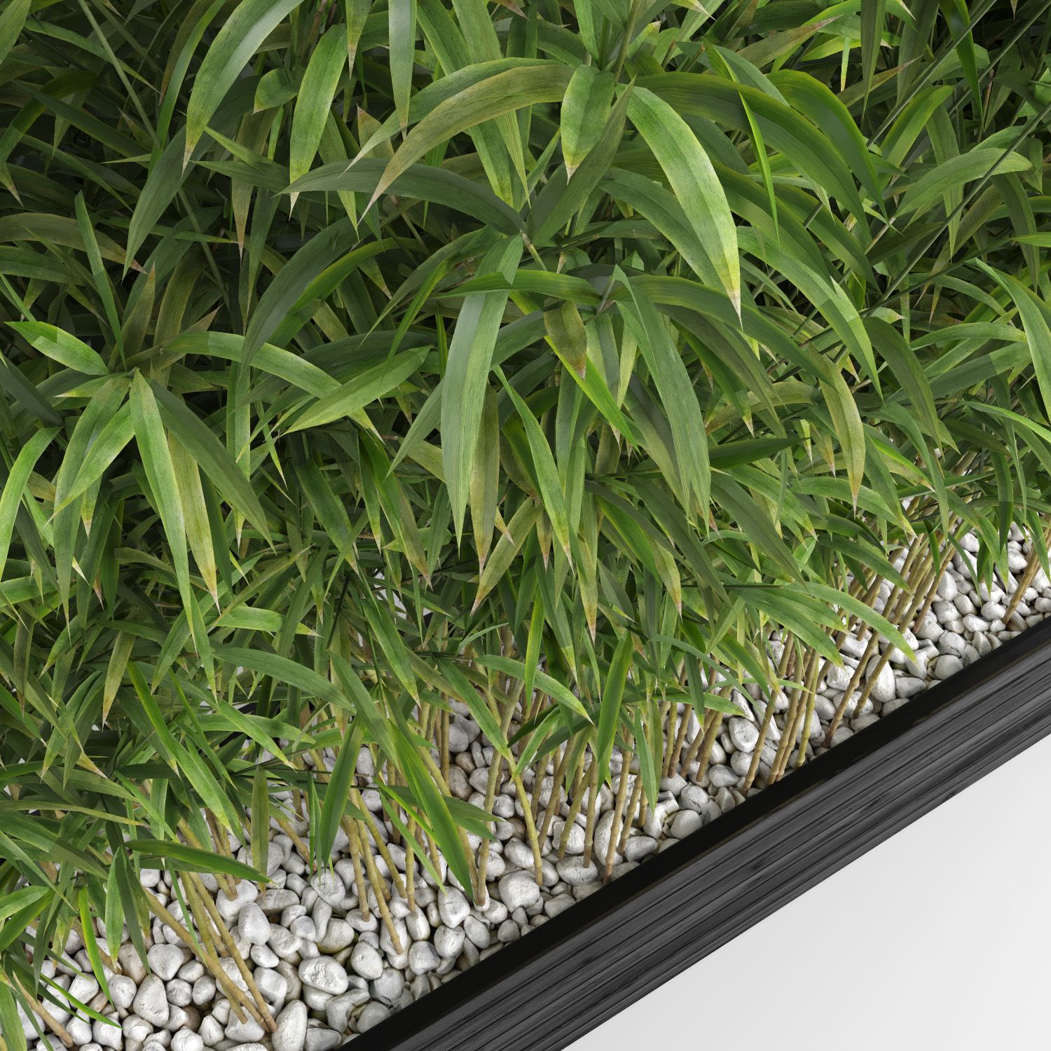 Ombrello Bamboos (+ GrowFX) royalty-free 3d model - Preview no. 5