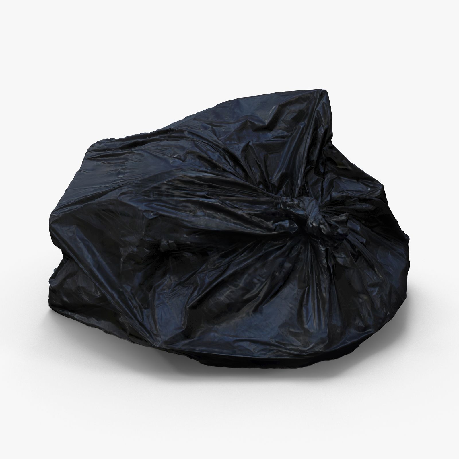 Bin Bag 3d model