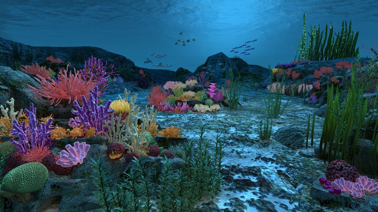 Ocean floor coral reefs 3d model