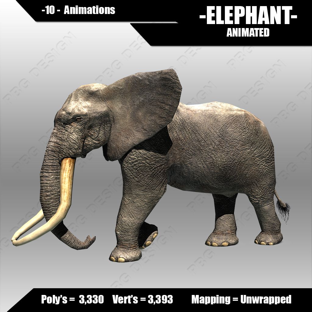 Elefante africano 3d model