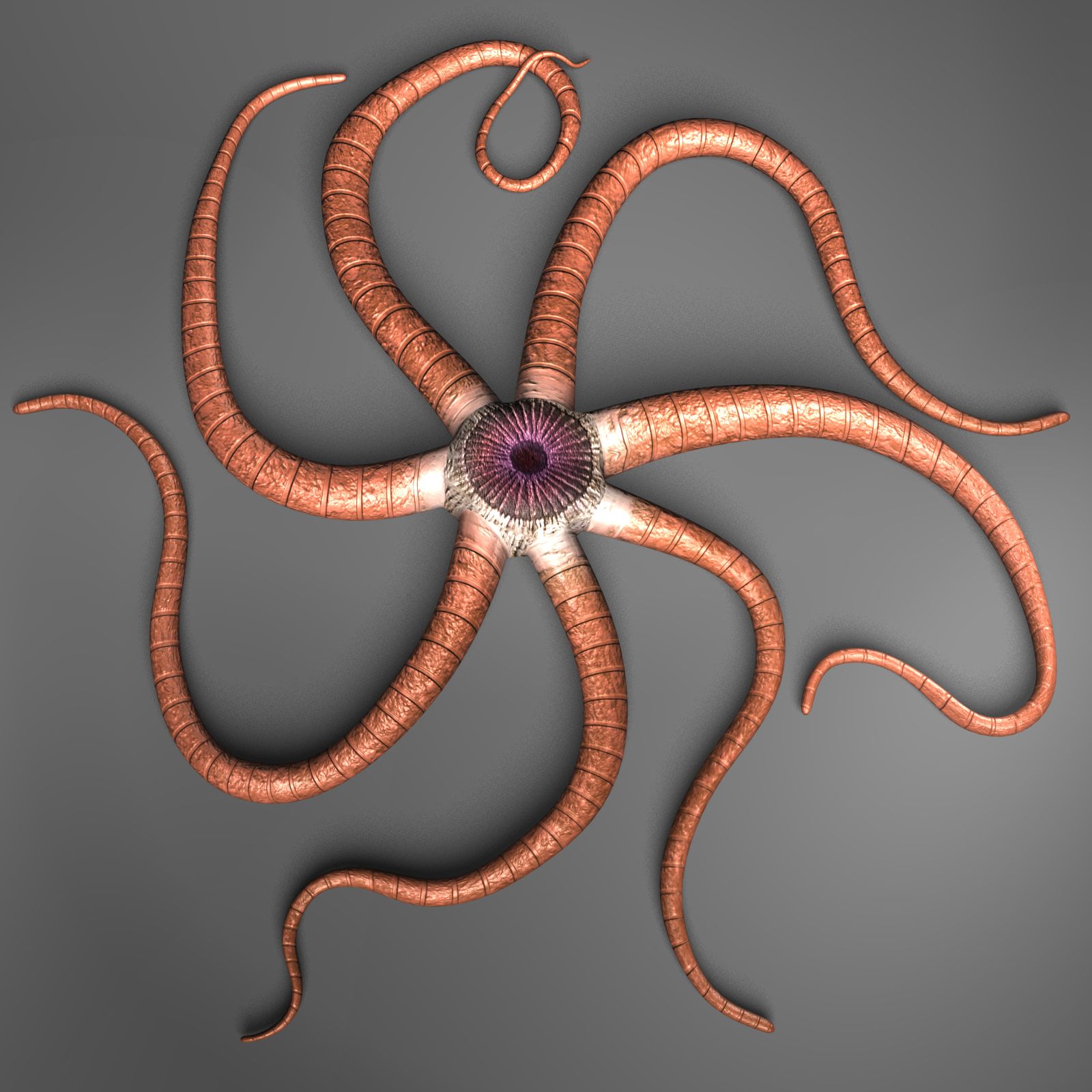 Starfish Creature 3d model