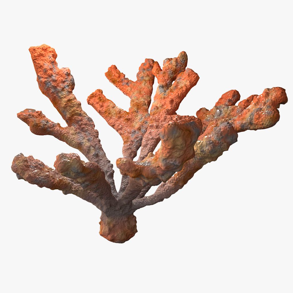 coral elkhorn 3d model