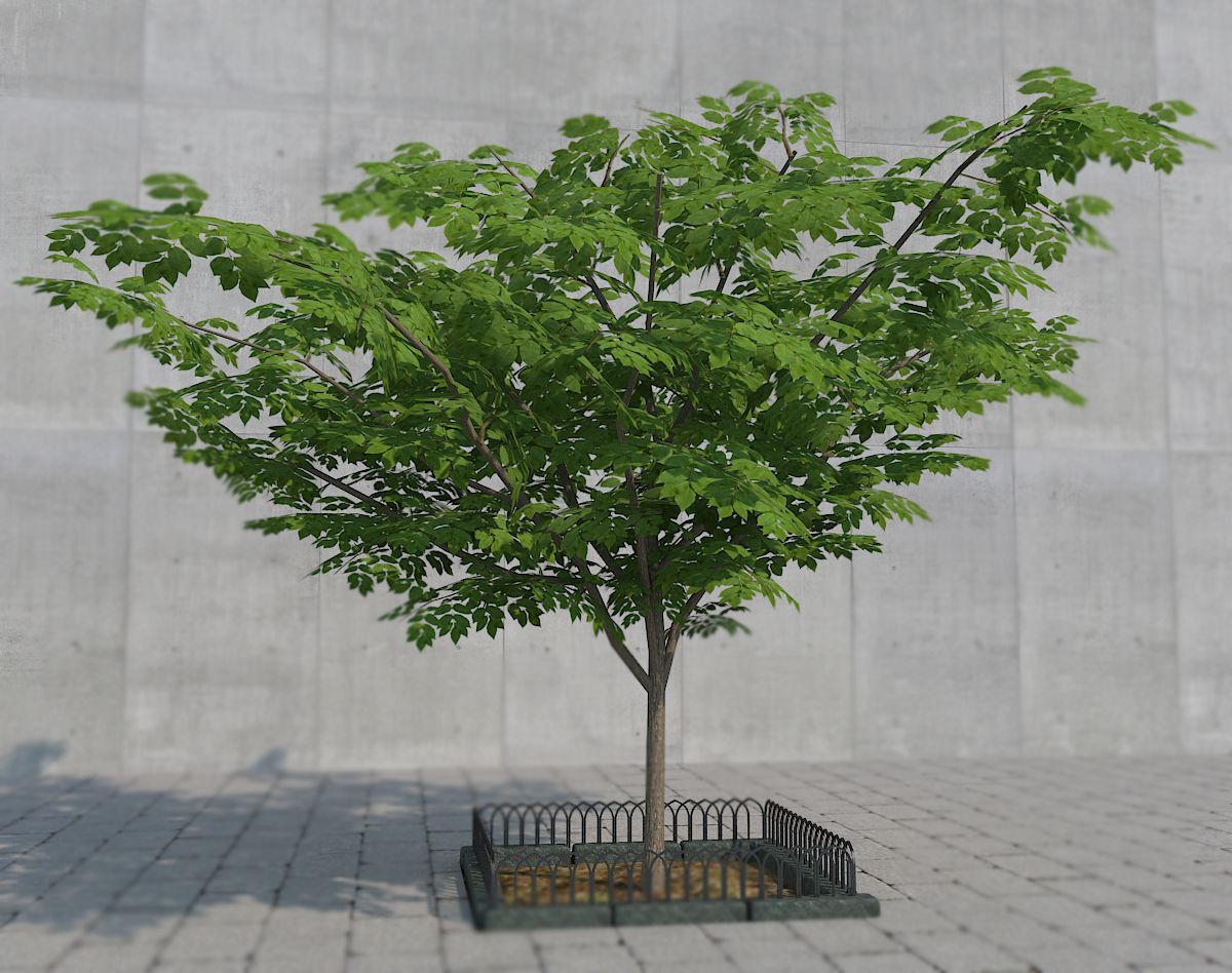 Tree 3 3d model