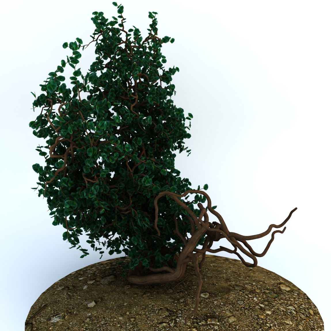 Alberi 1 royalty-free 3d model - Preview no. 3