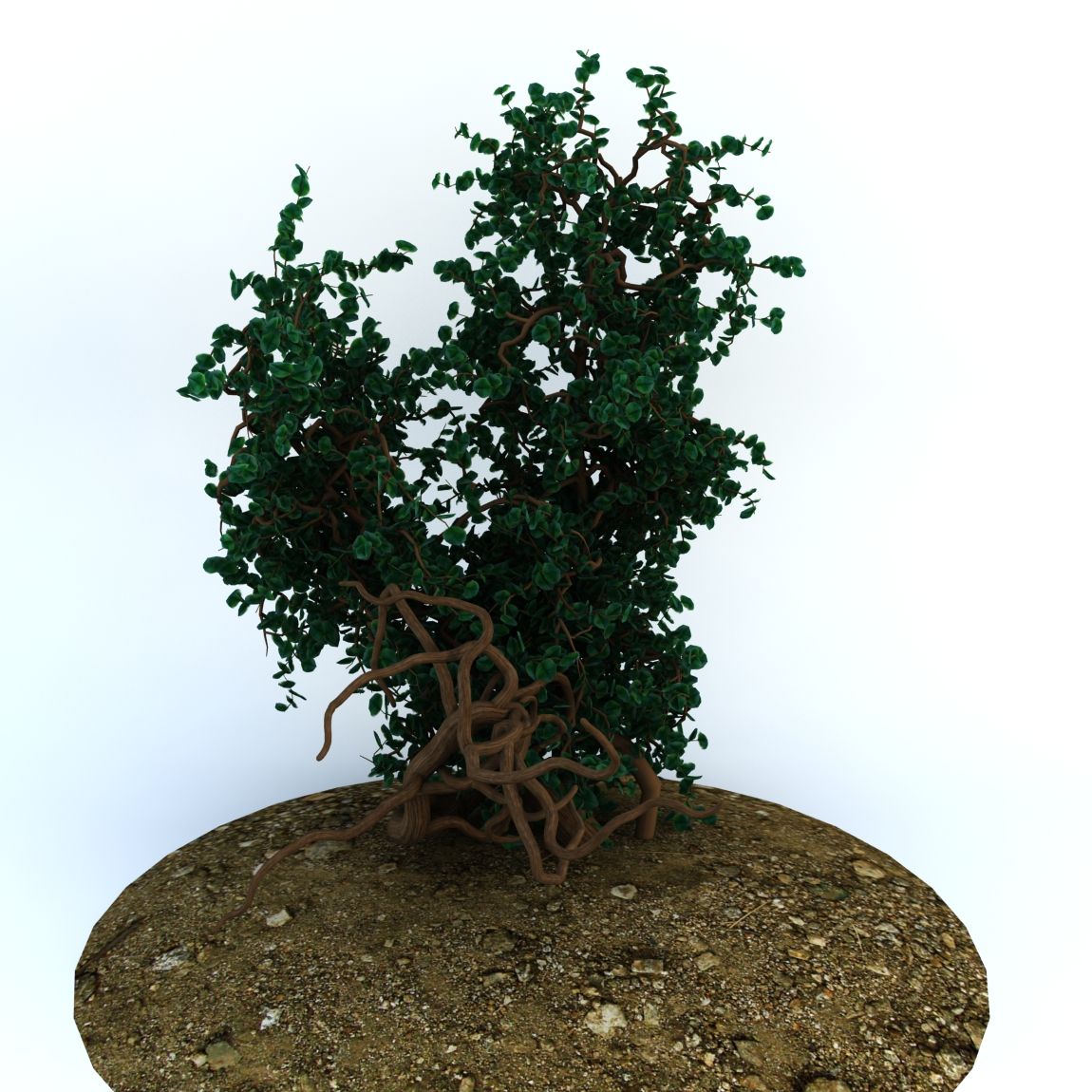 Alberi 1 royalty-free 3d model - Preview no. 2