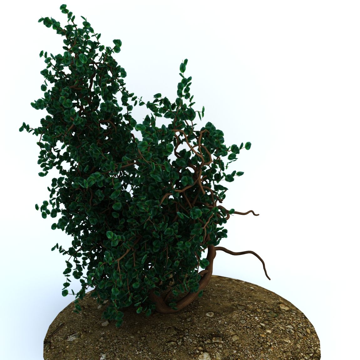 Alberi 1 royalty-free 3d model - Preview no. 4