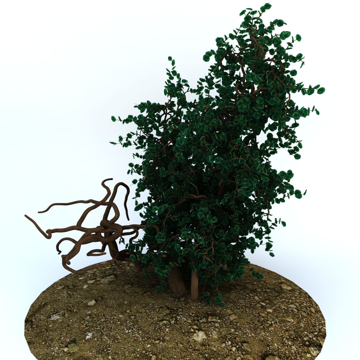 Alberi 1 3d model