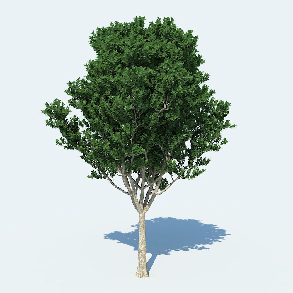 Árvore v1 3d model