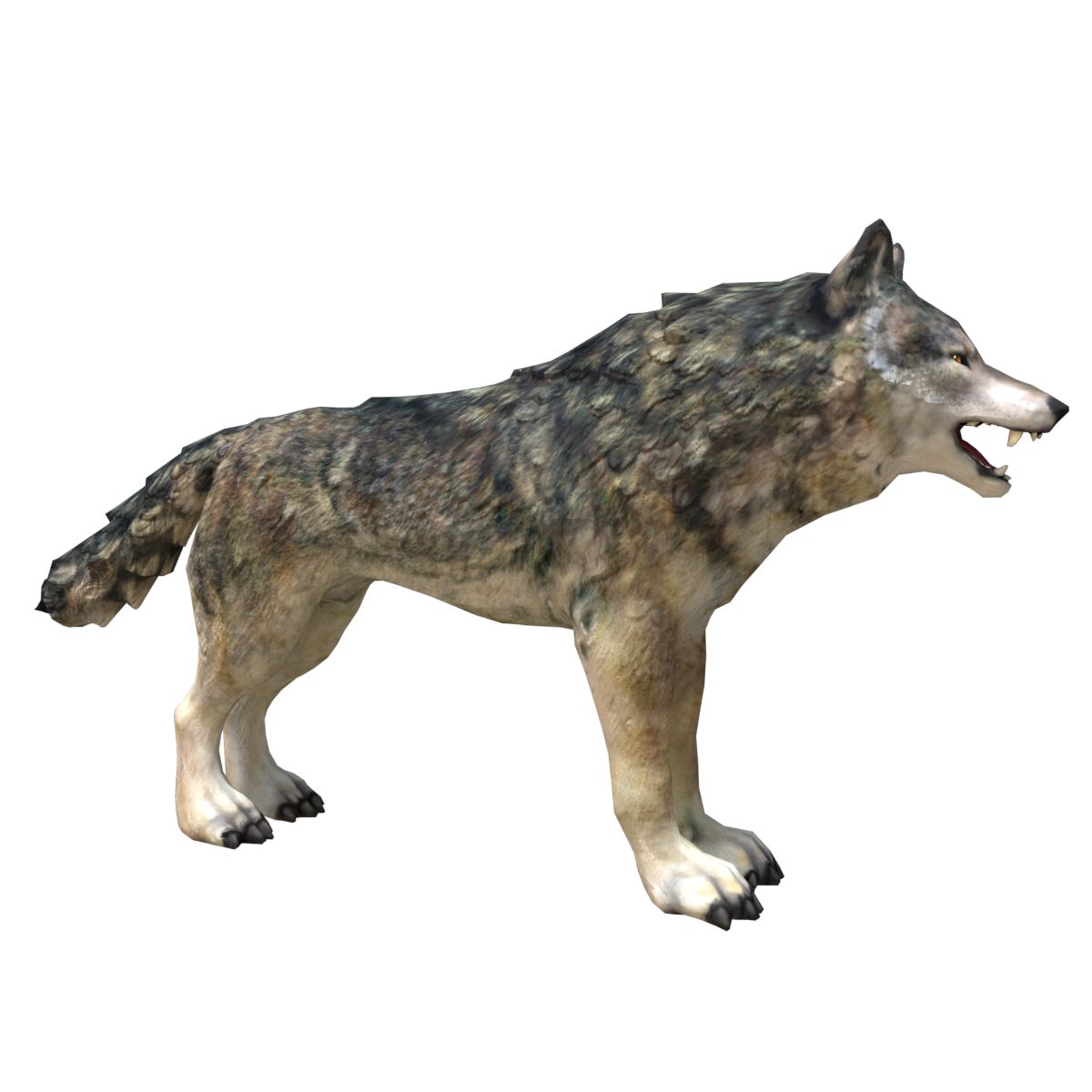 Wolf 3d model