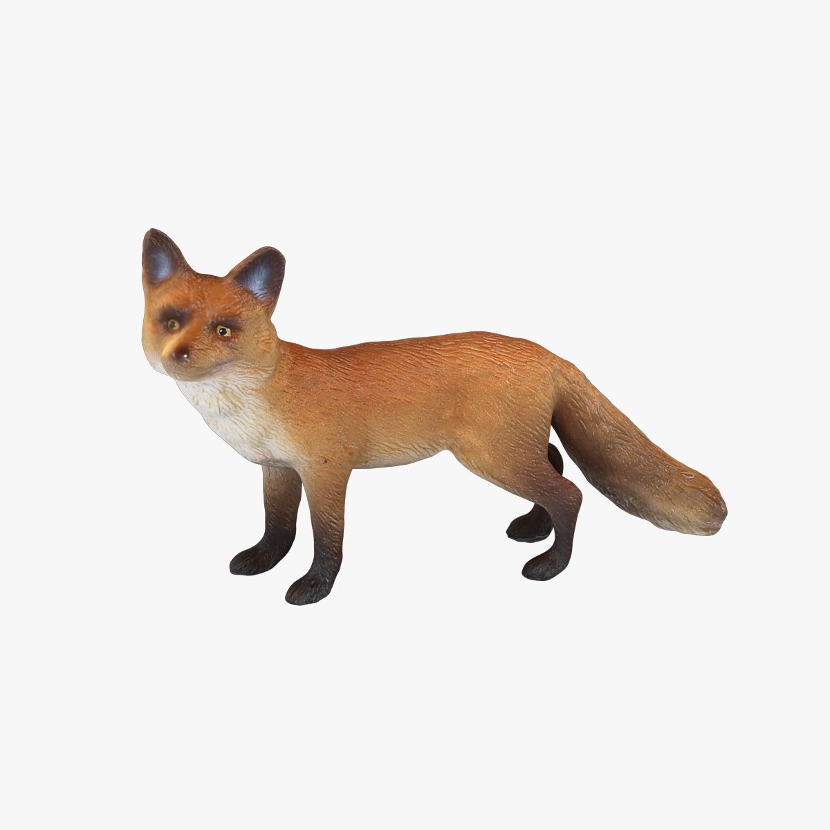 Fuchs 3d model