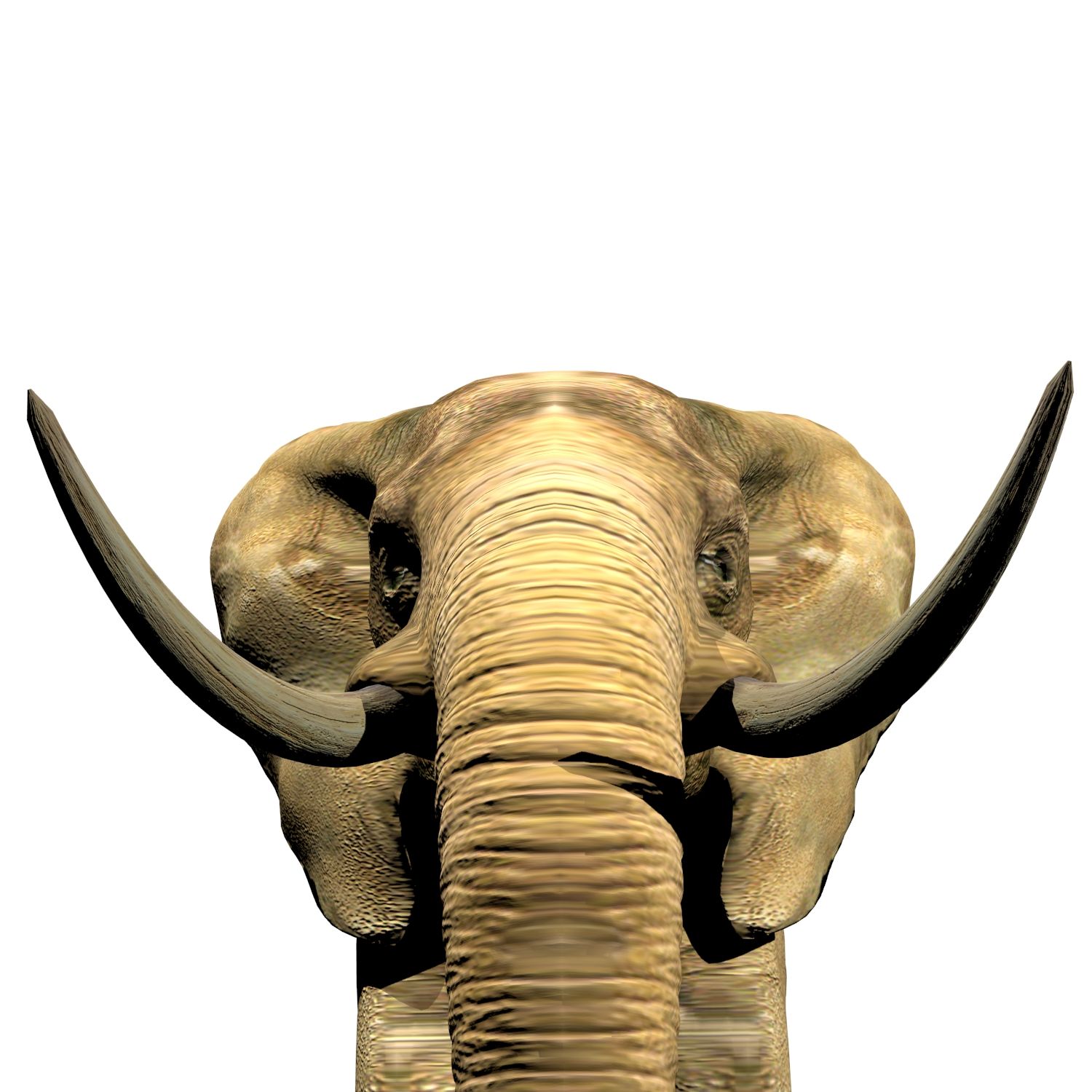 Elefante (africano) royalty-free 3d model - Preview no. 5