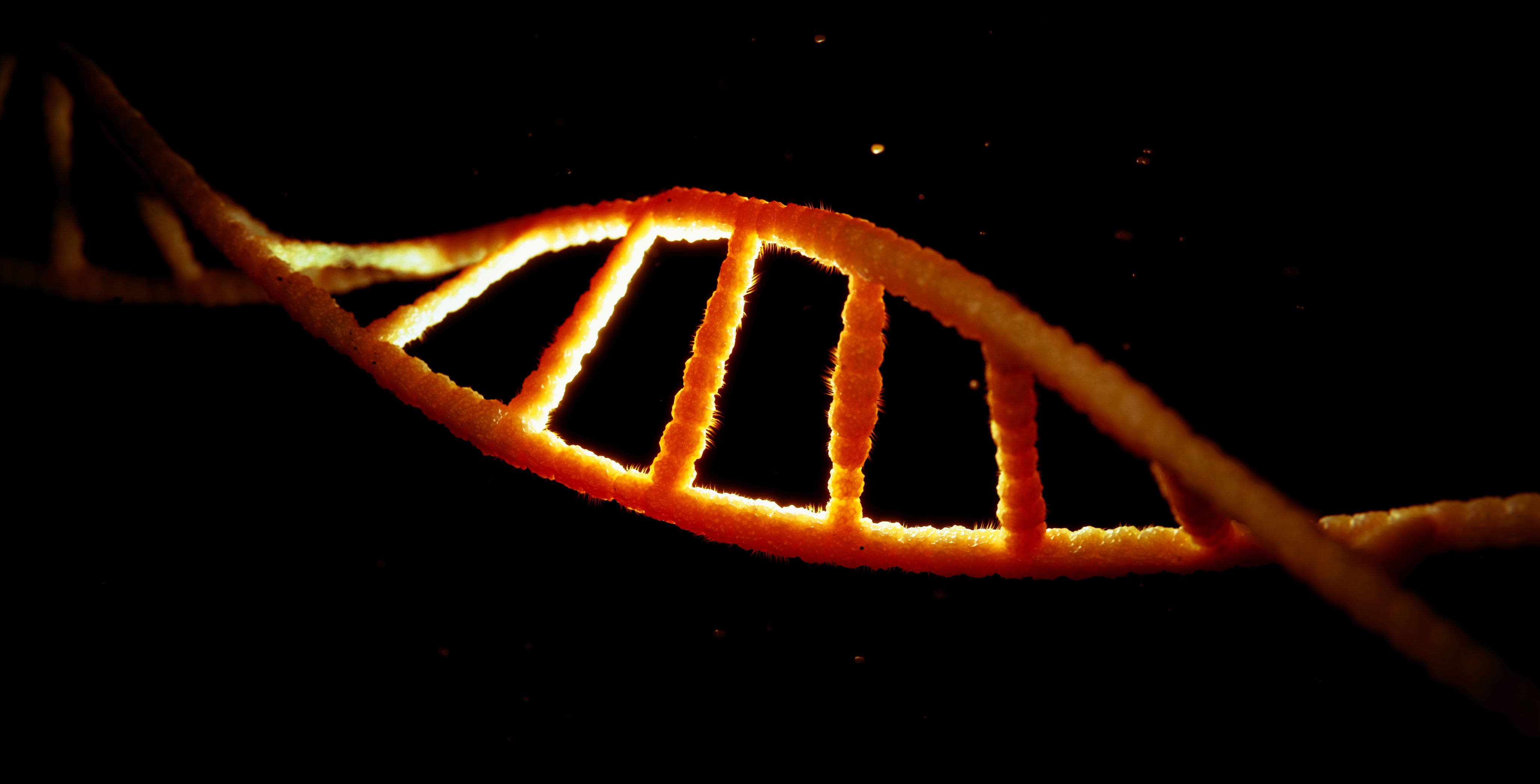 DNA 3d model