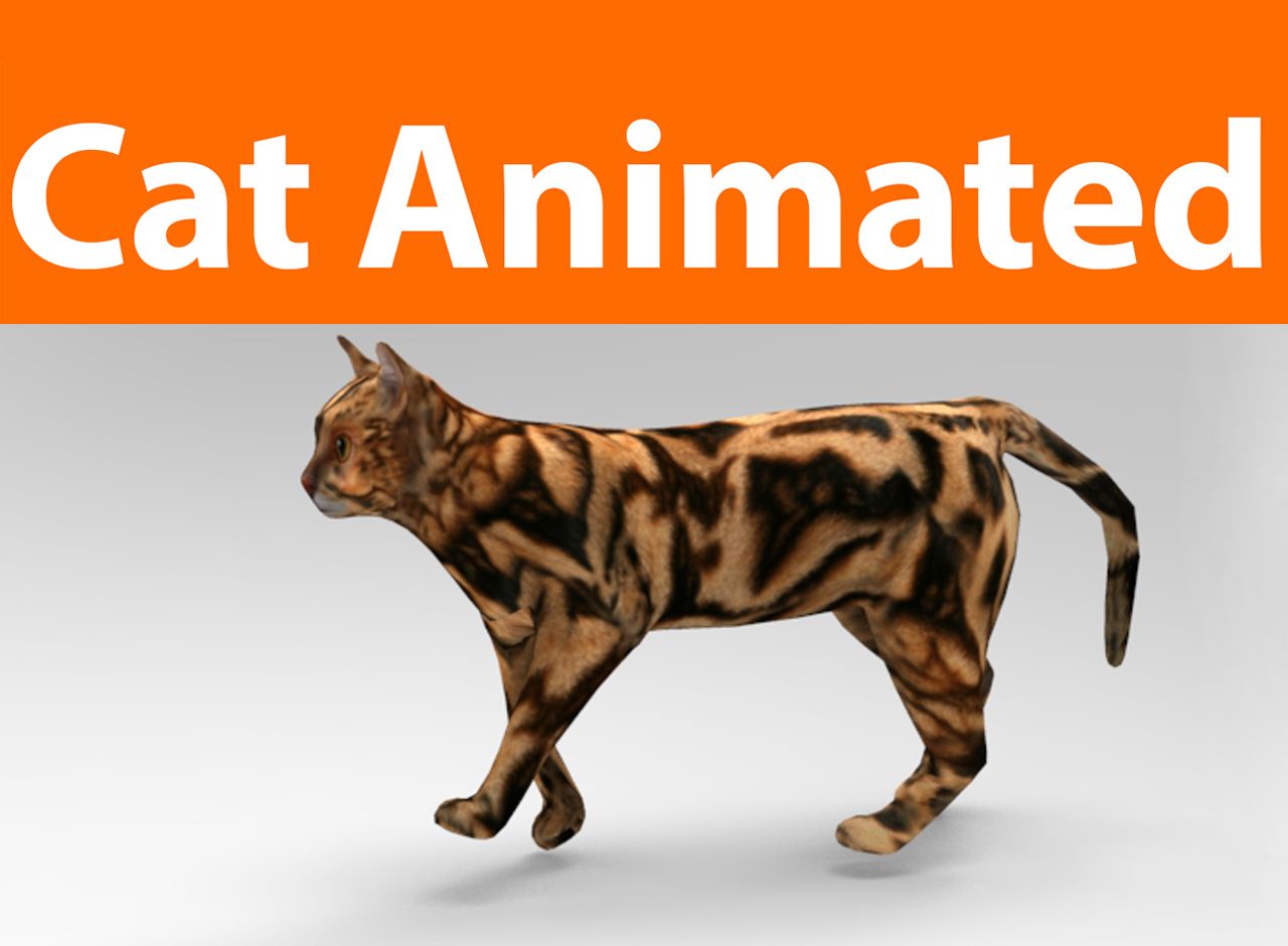 猫のアニメーション 3d model