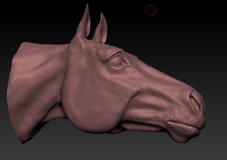 Paardenkop 3d model