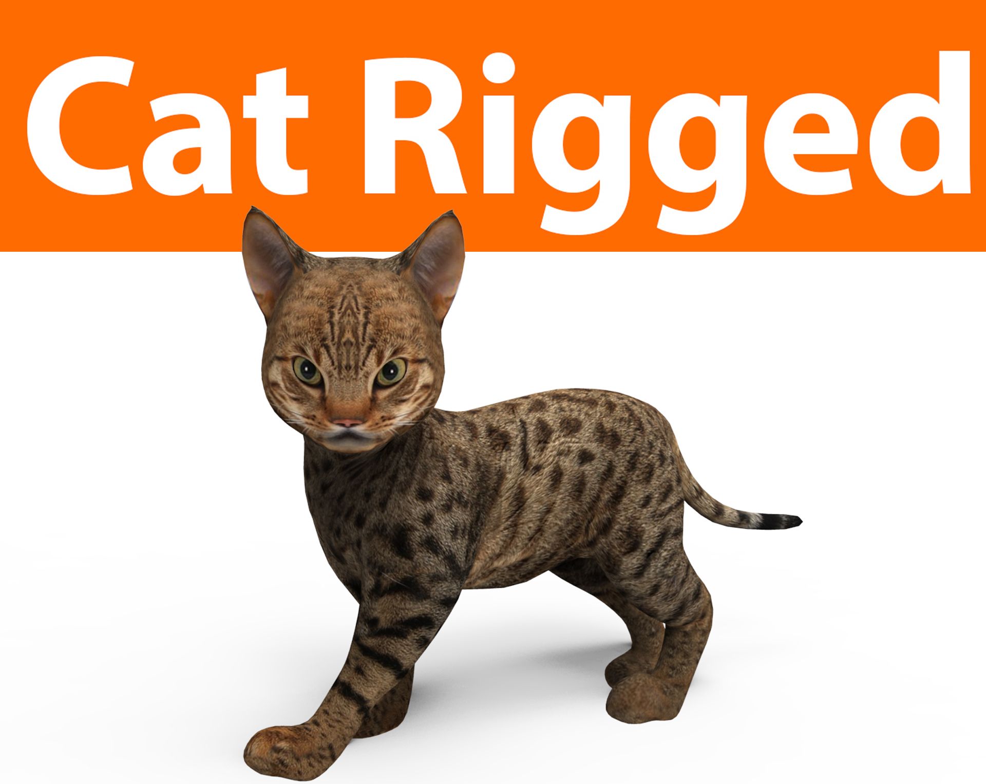 cute cat rigged 3d model