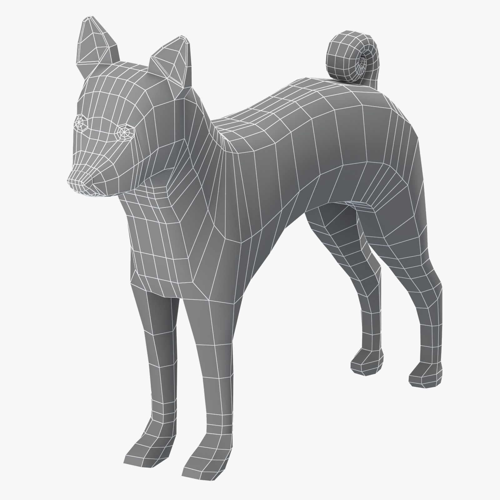 Basenji Dog Base Mesh 3d model