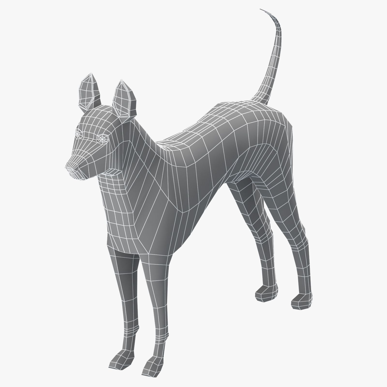 Thai Ridgeback Dog Base Mesh 3d model