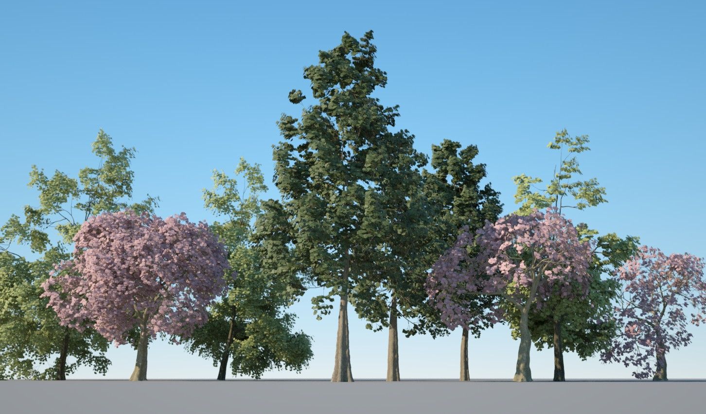 Pacchetto albero 1 3d model