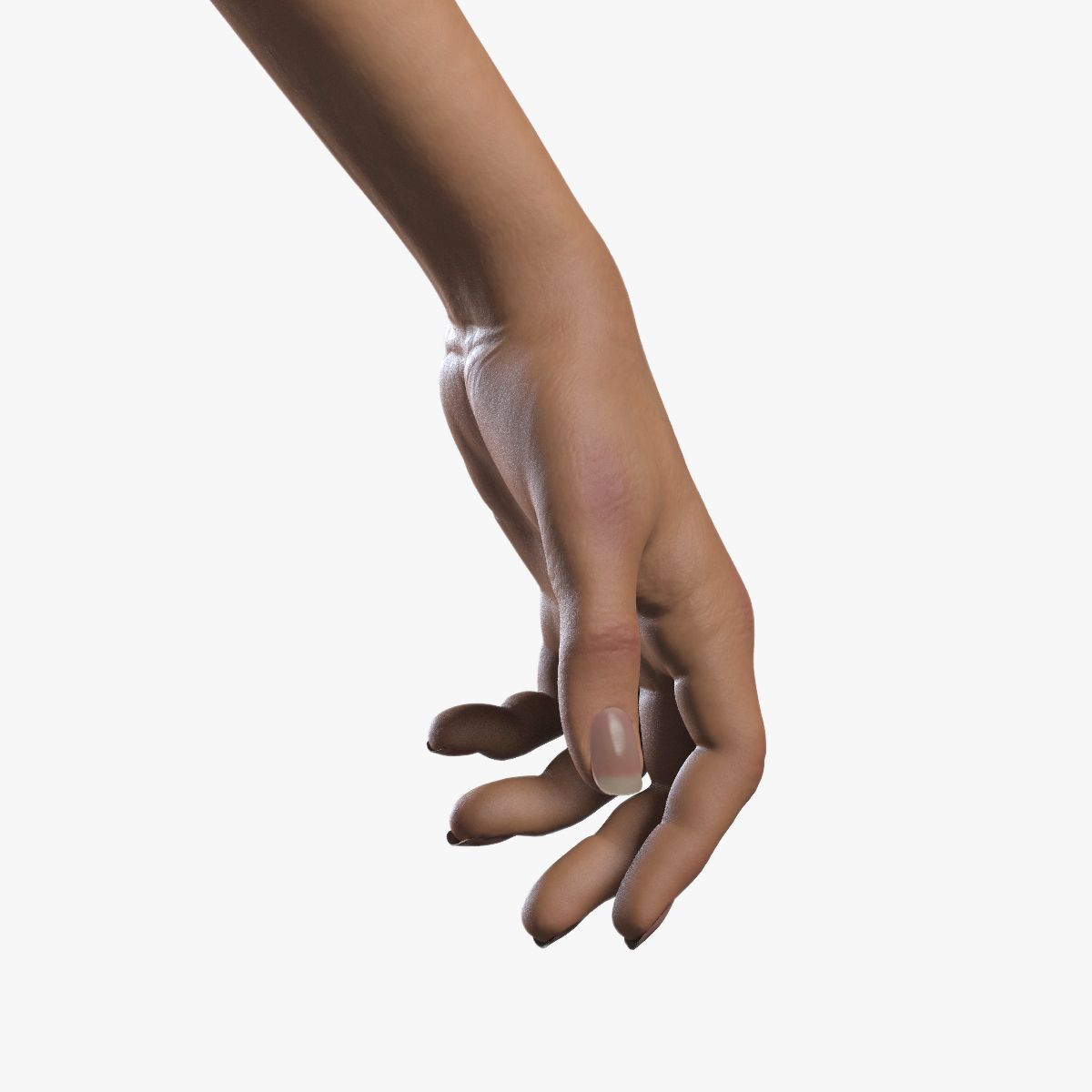 Woman Hands 3d model