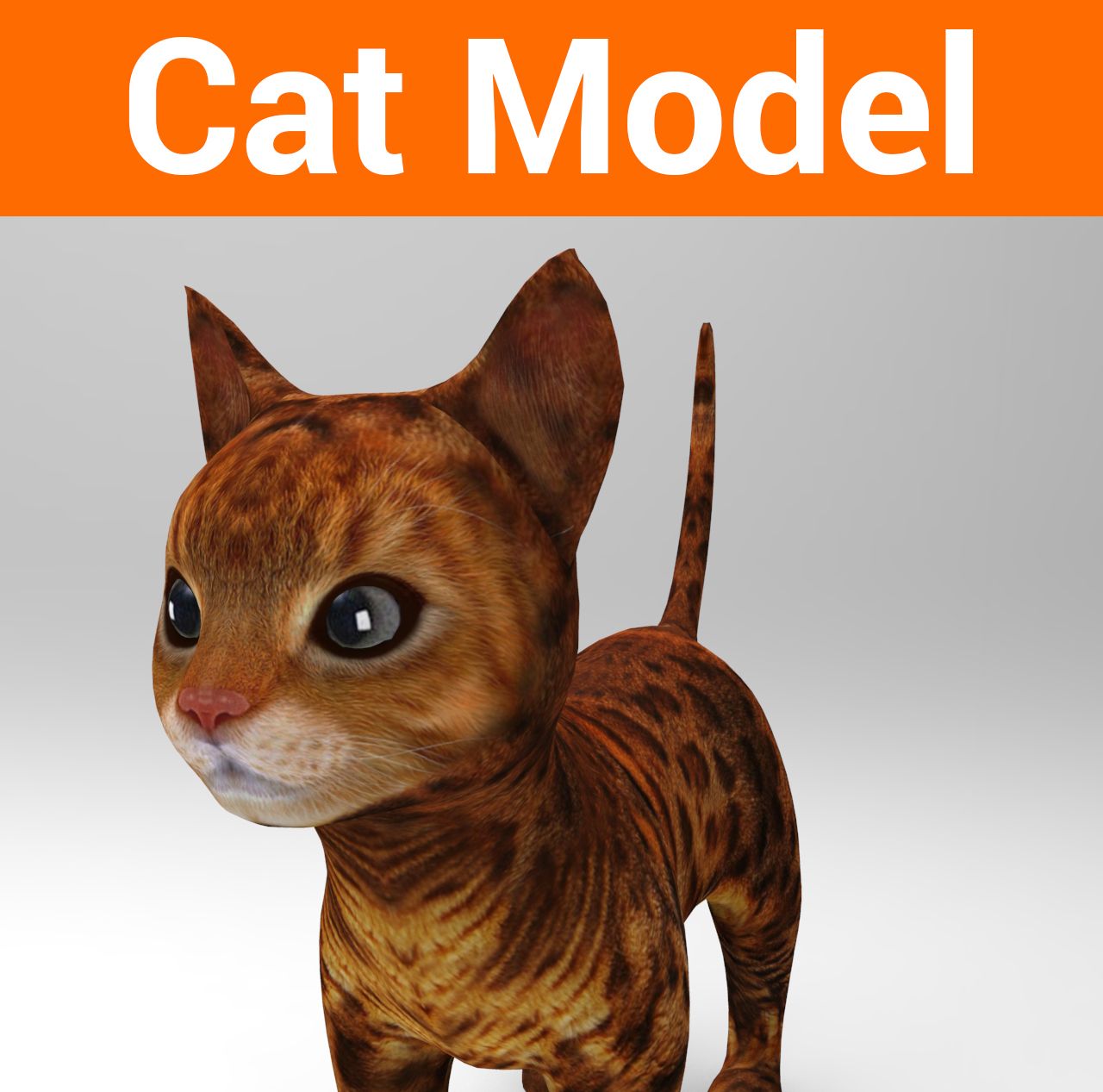 cute cat model 3d model