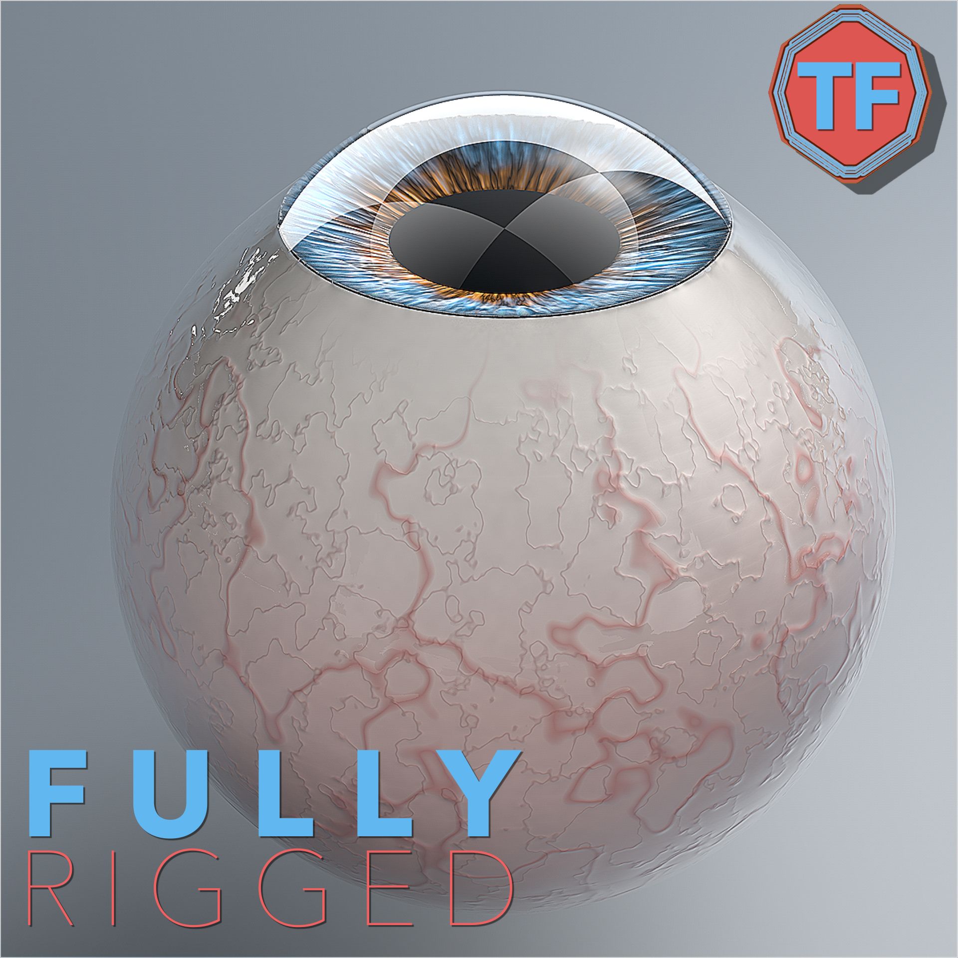 Realist Human Eye - With Rig 3d model