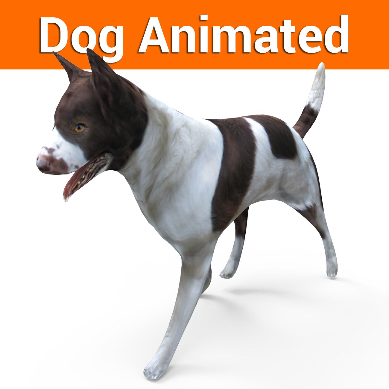 Dog animated 3d model