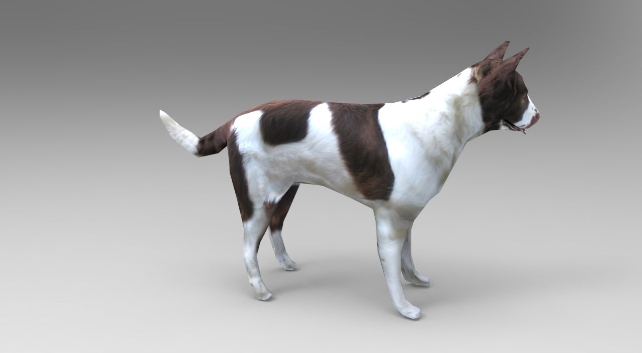 Dog animated royalty-free 3d model - Preview no. 8