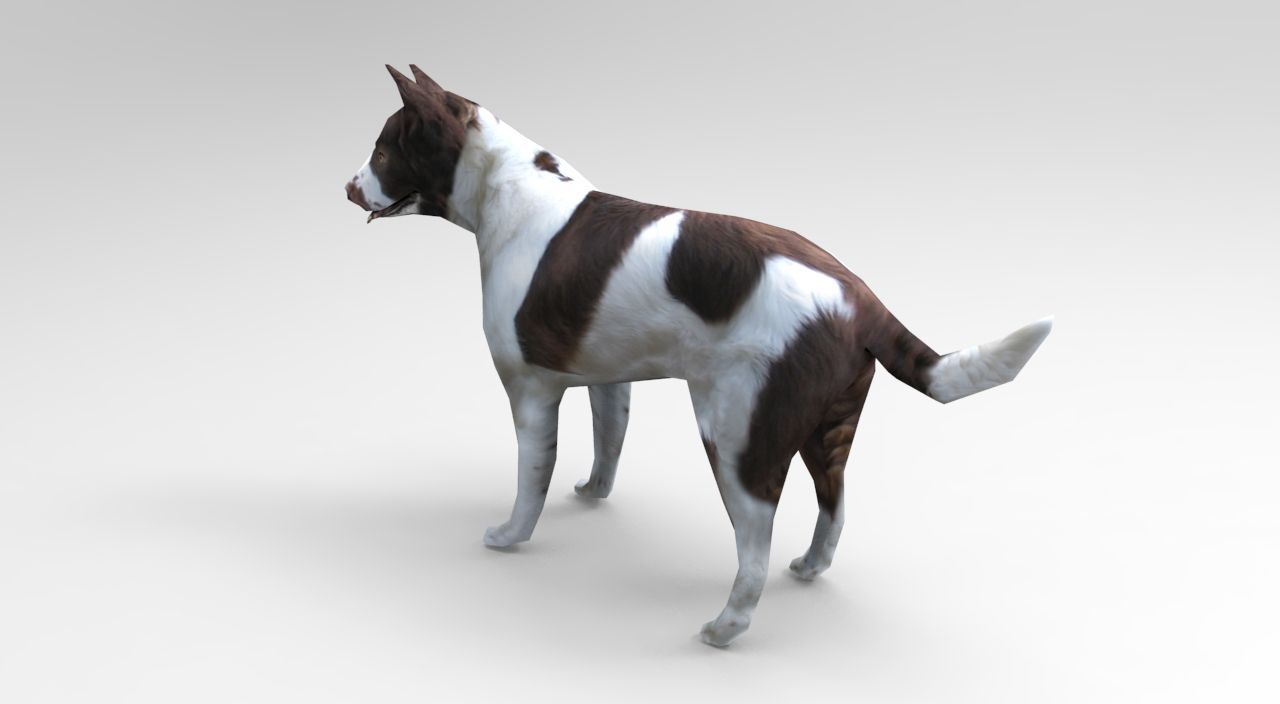 Dog animated royalty-free 3d model - Preview no. 3