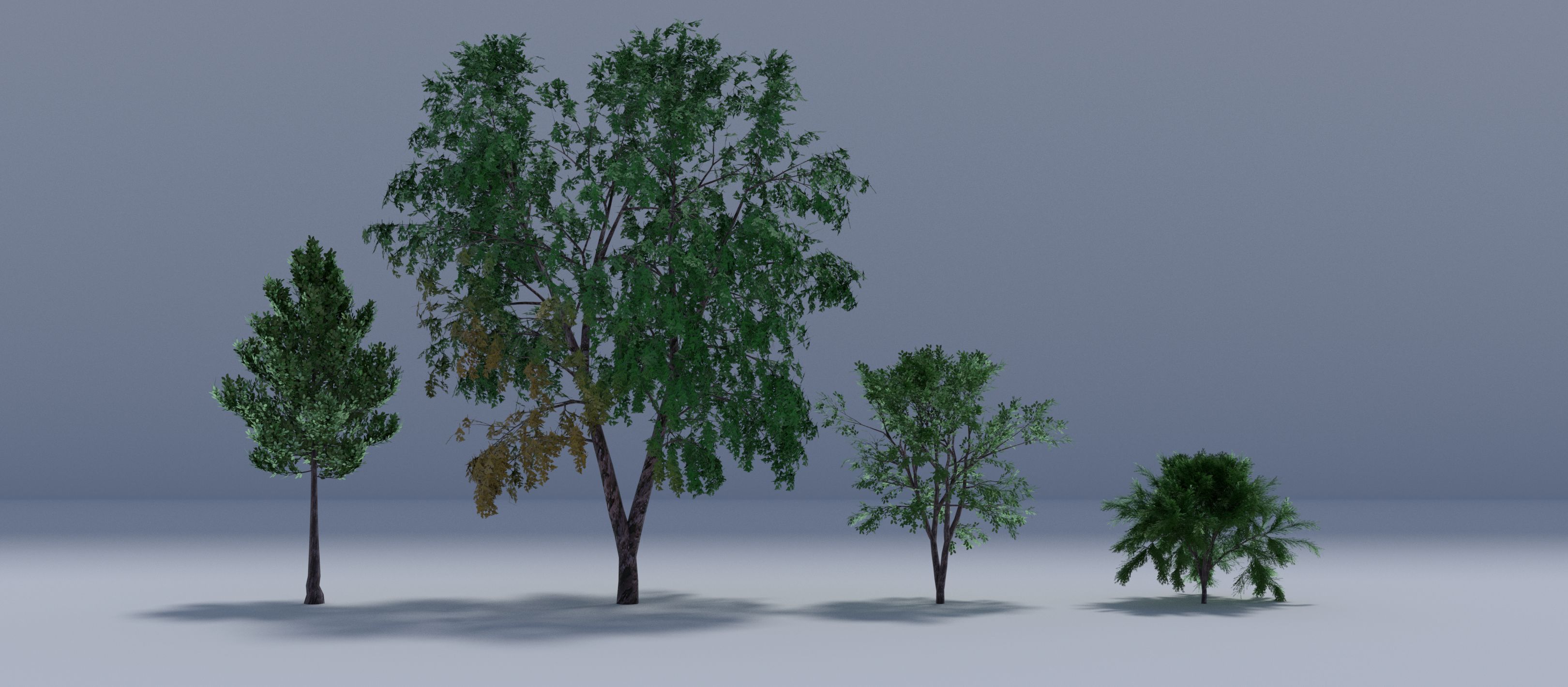 Pacchetto albero 3d model