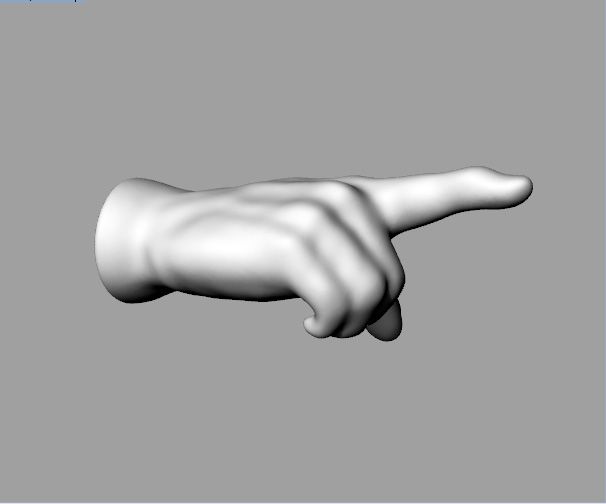 Hand Pointing 3d model