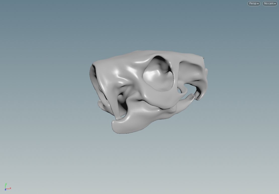 Animal Skull royalty-free 3d model - Preview no. 4