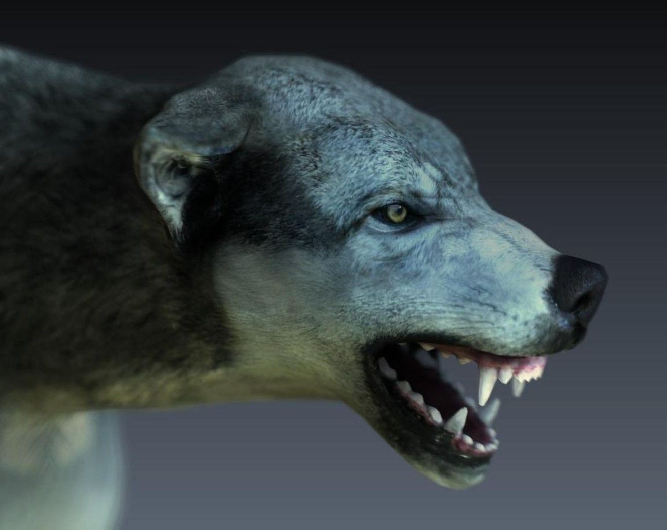 Varg 3d model