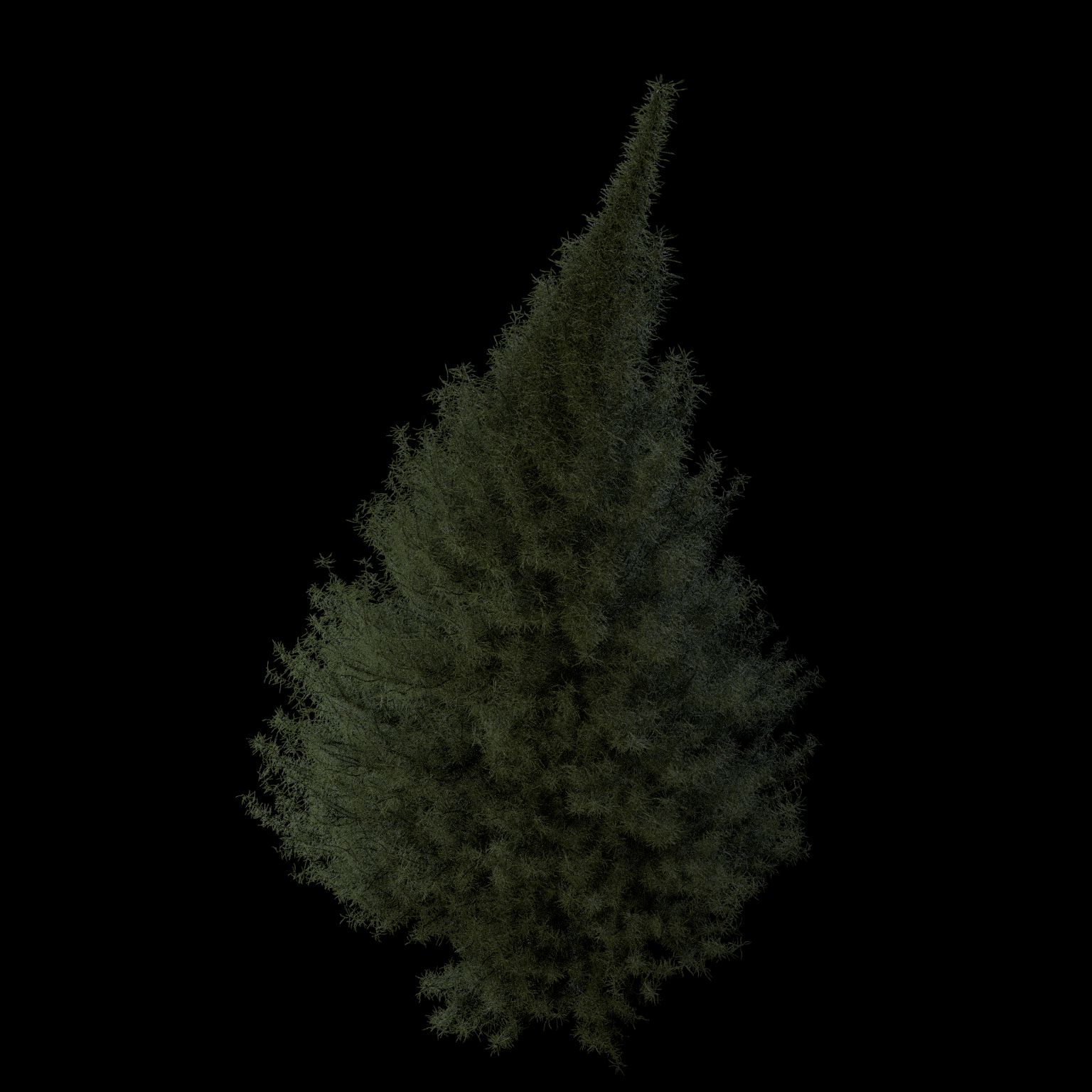 Pine tree royalty-free 3d model - Preview no. 4