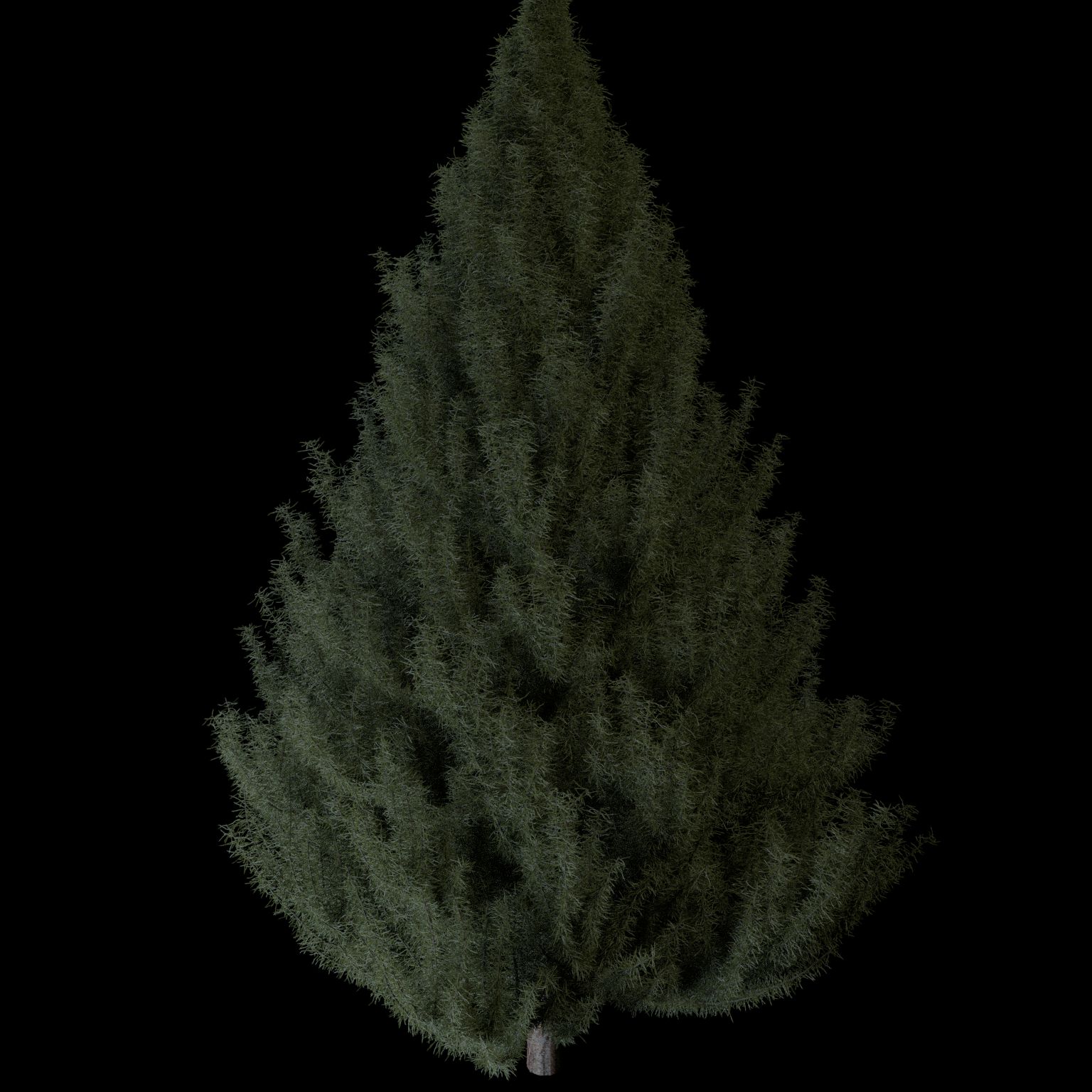 Pine tree royalty-free 3d model - Preview no. 3