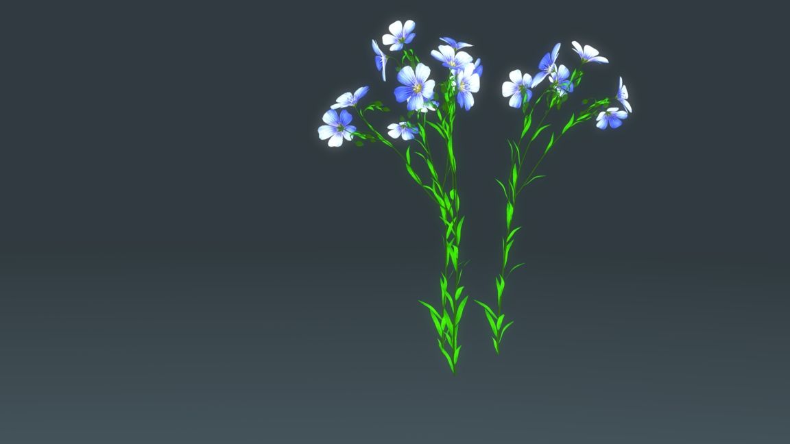 亜麻植物 3d model