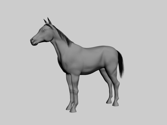 Horse 3d model