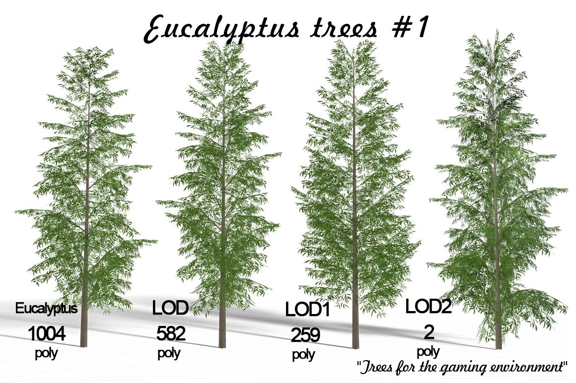 Albero di eucalipto # 1 3d model