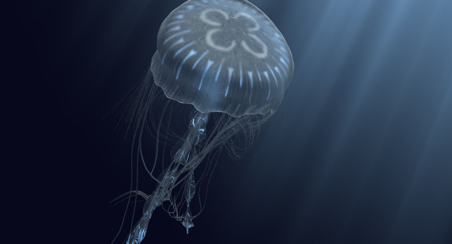 Bioluminescent JellyFish 3d model