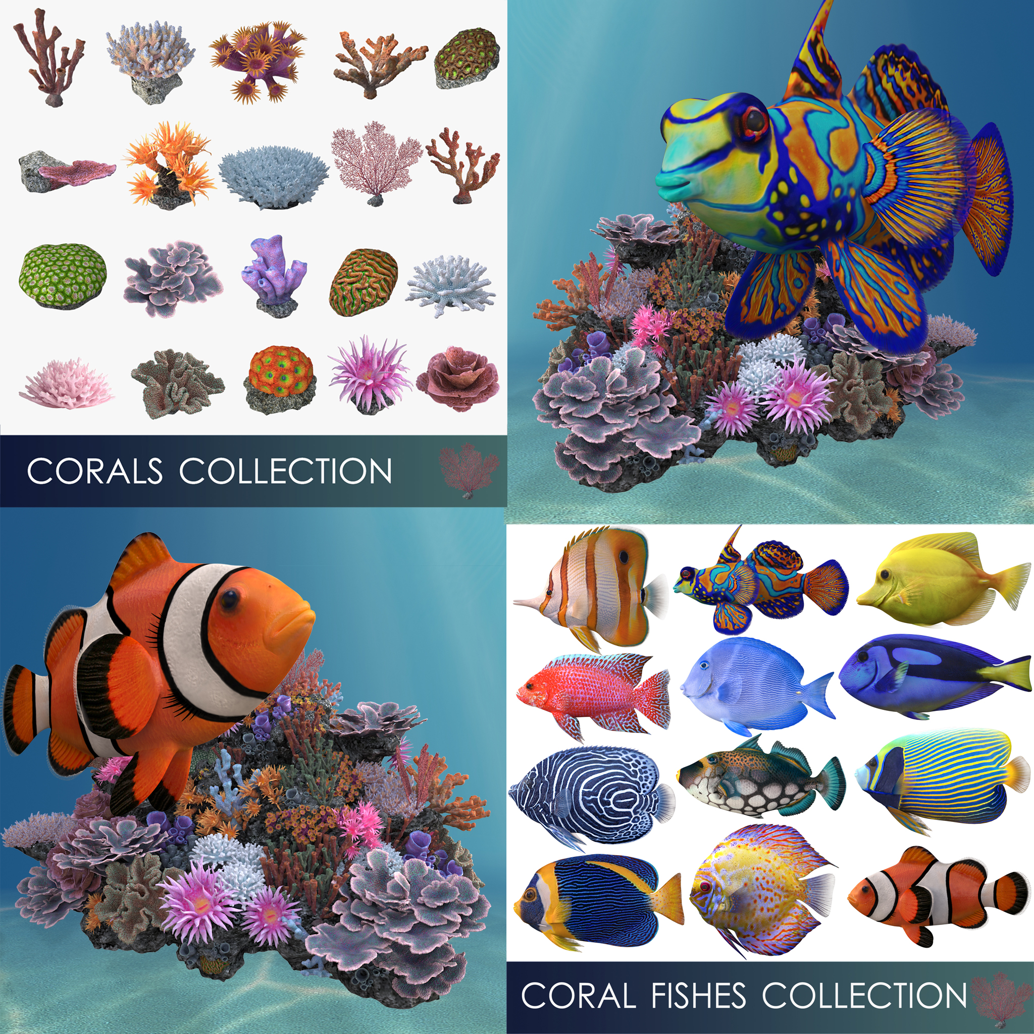 corals and coral fishes collection 3d model