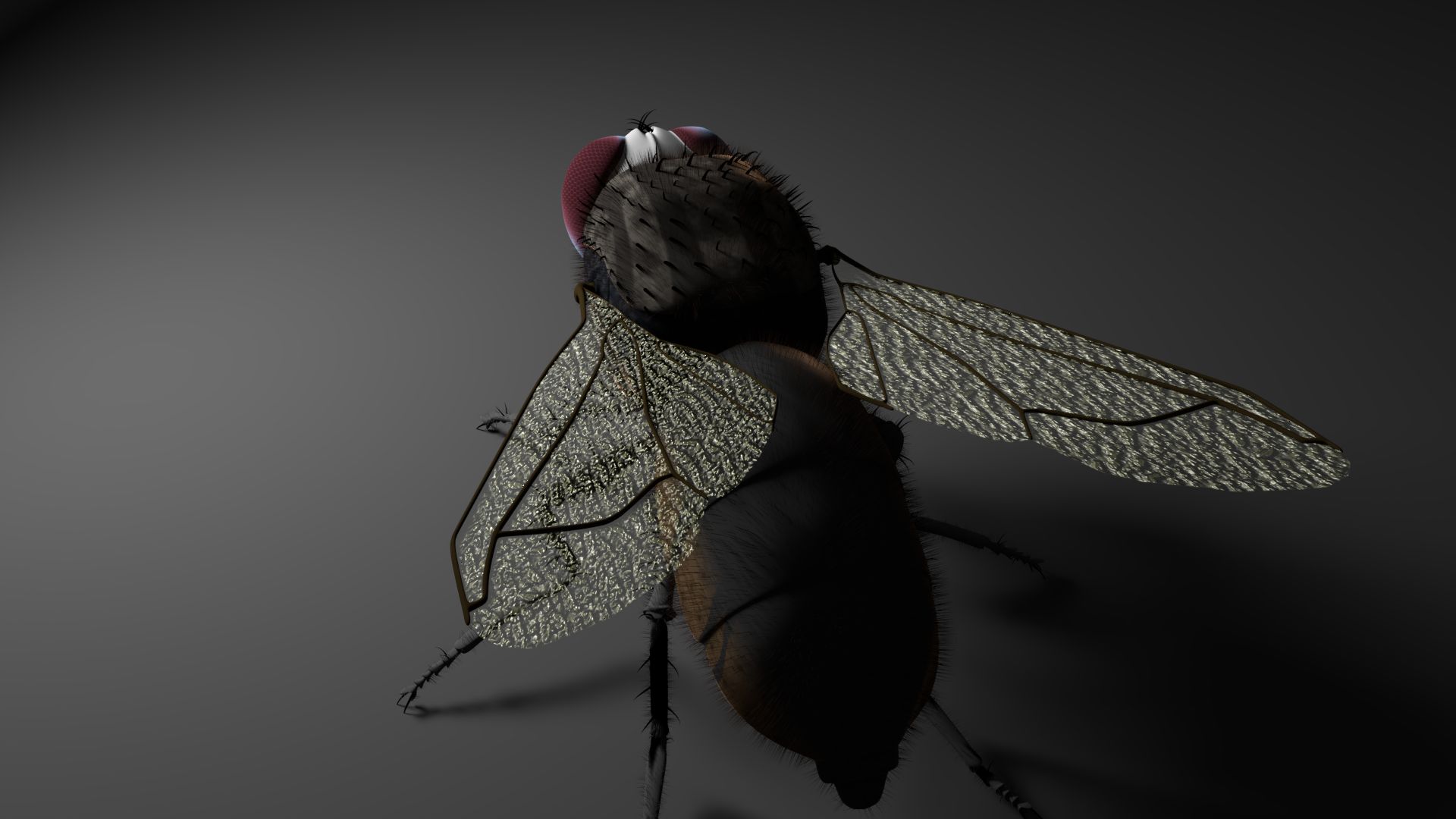 Flyga 3d model