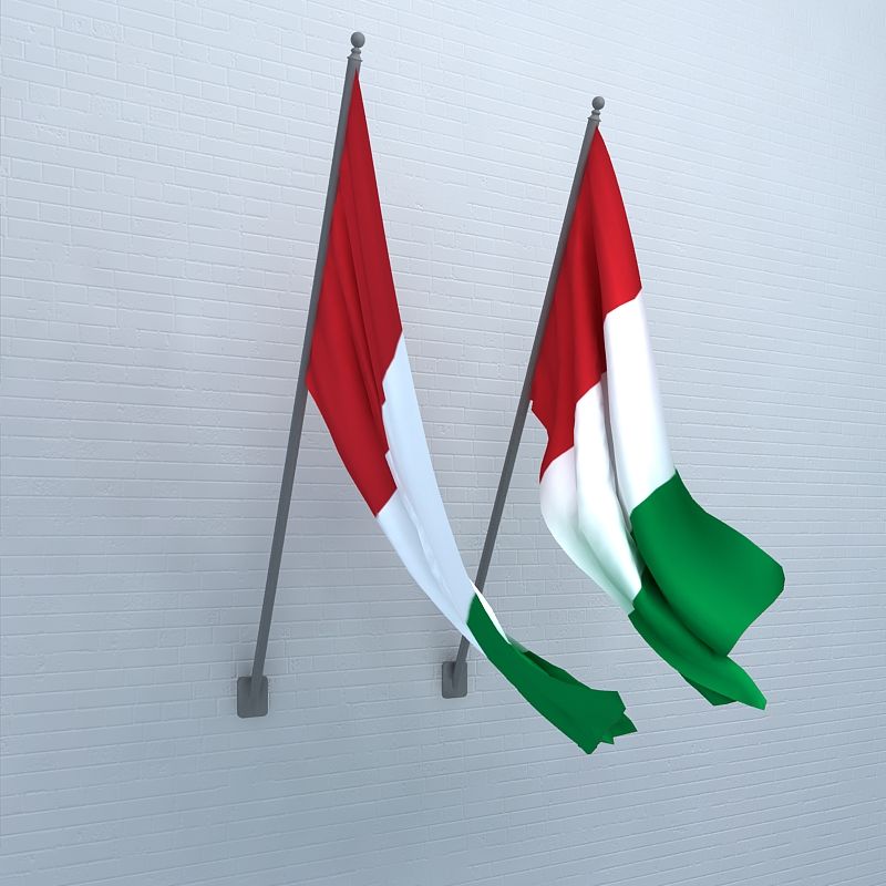 Flags 3d model