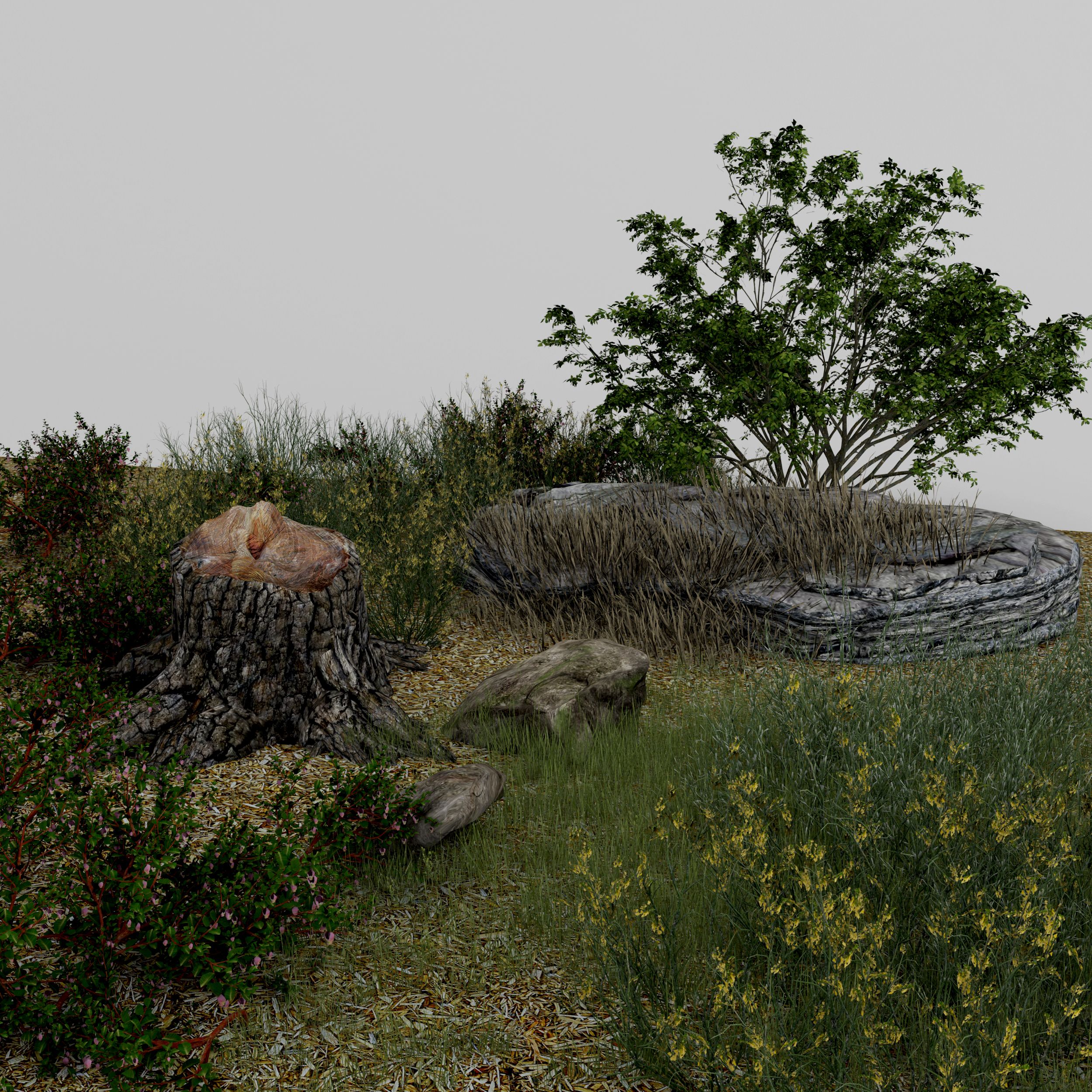 Paesaggio 3d model