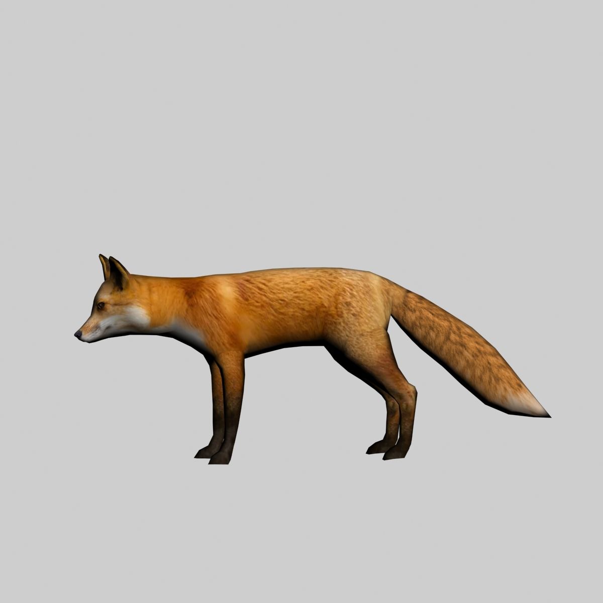 Fox royalty-free 3d model - Preview no. 9