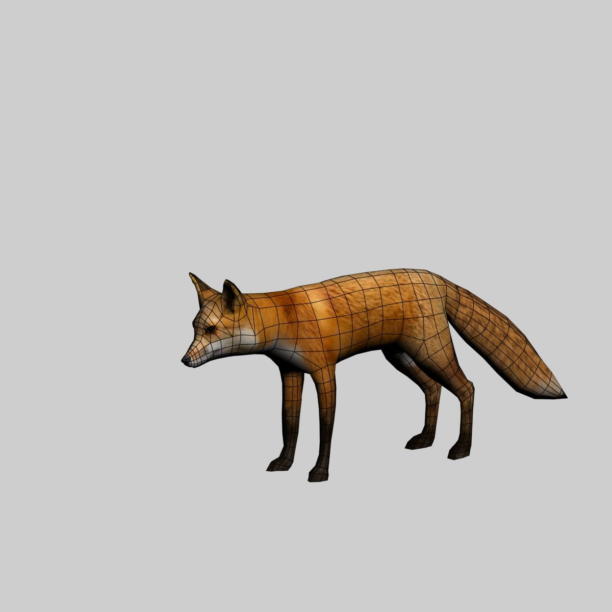 Fox royalty-free 3d model - Preview no. 8