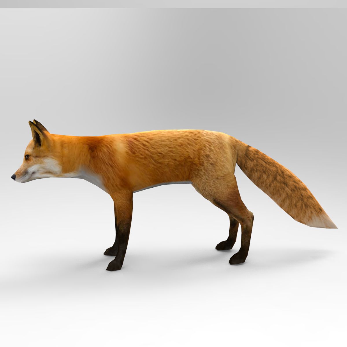 Fox 3d model