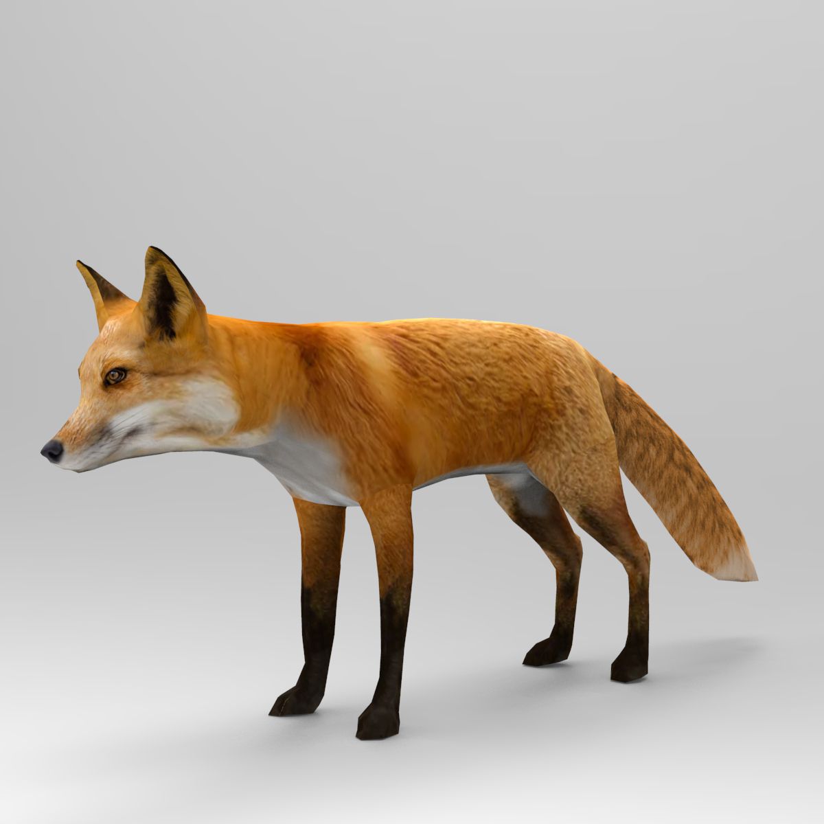 Fox royalty-free 3d model - Preview no. 2