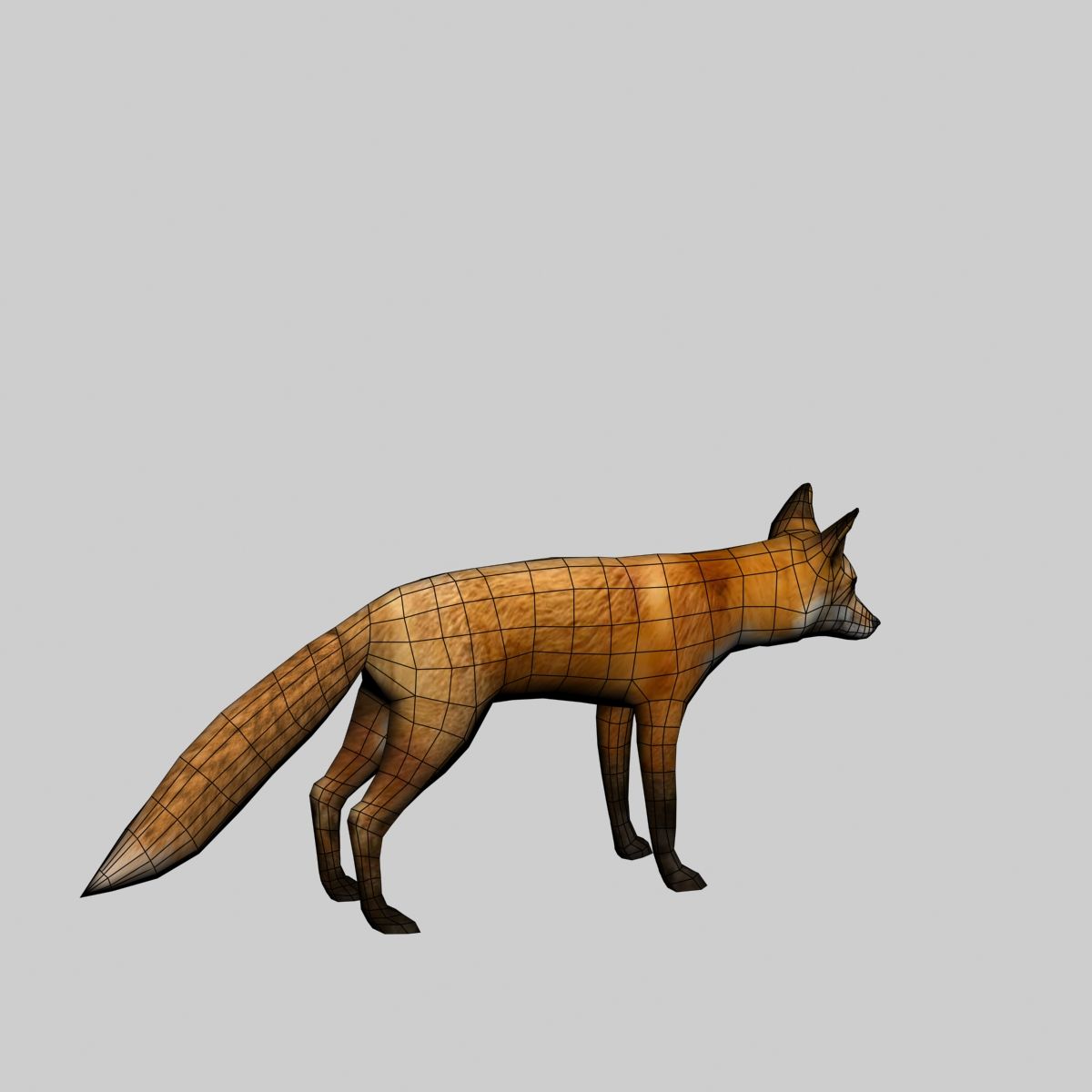 Fox royalty-free 3d model - Preview no. 10